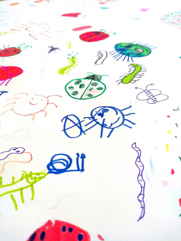 Animation : dessine ton compost avec les marmailles de CM1 de l&rsquo;école Pablo Picasso à Saint-Louis (Réunion)