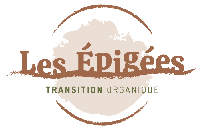 Moment d&rsquo;échange avec une Guide Composteur