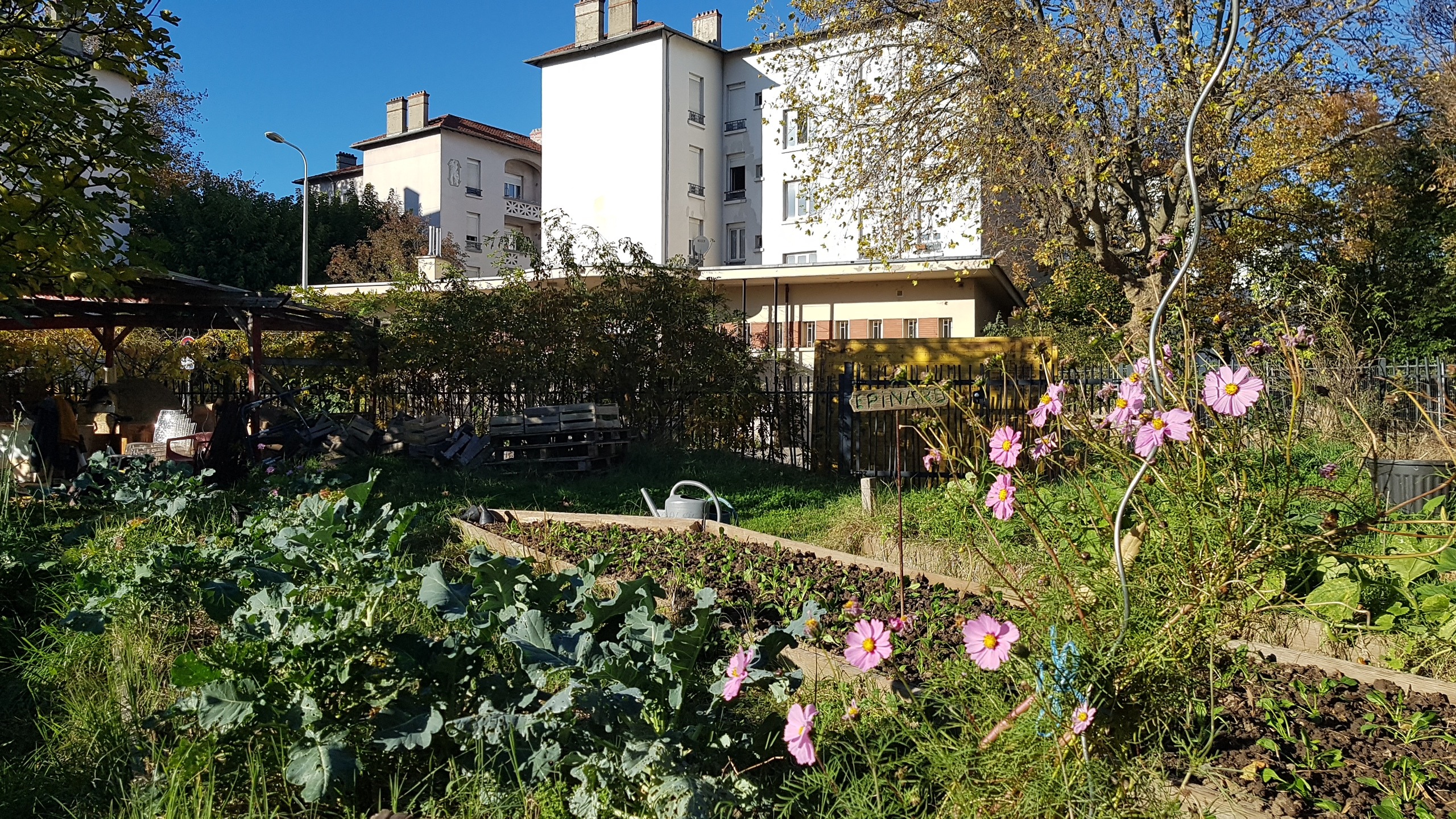 Oasis de Gerland – venez composter vos épluchures !