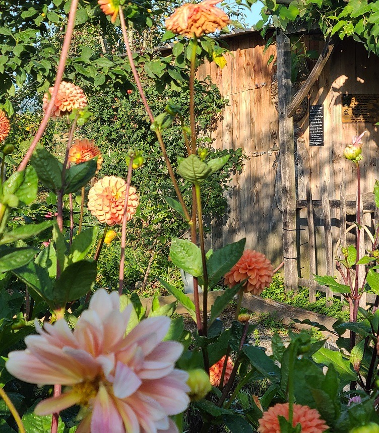 Tous au compost
