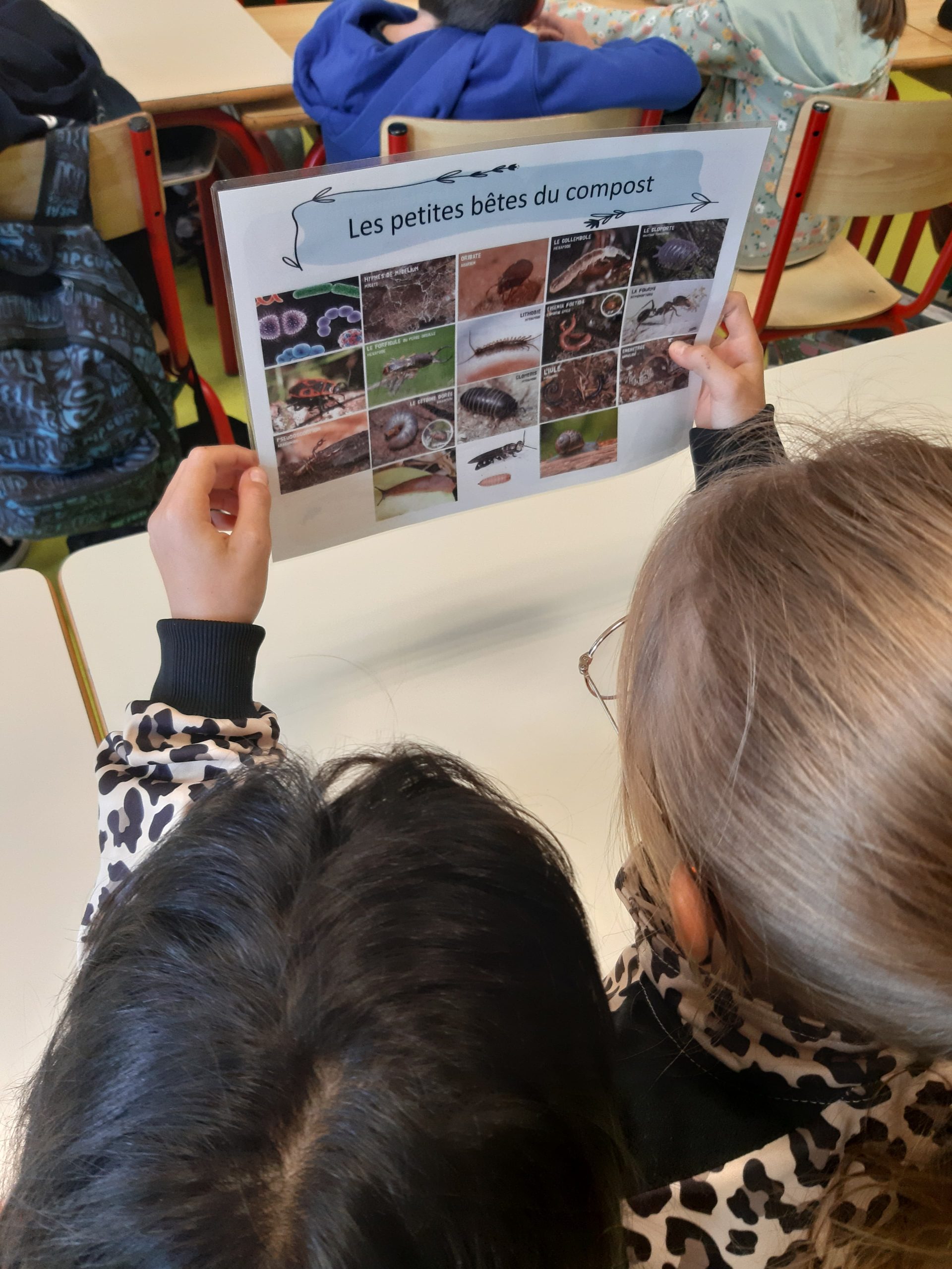 Tous au Compost ! avec l&rsquo;école de Mirabeau