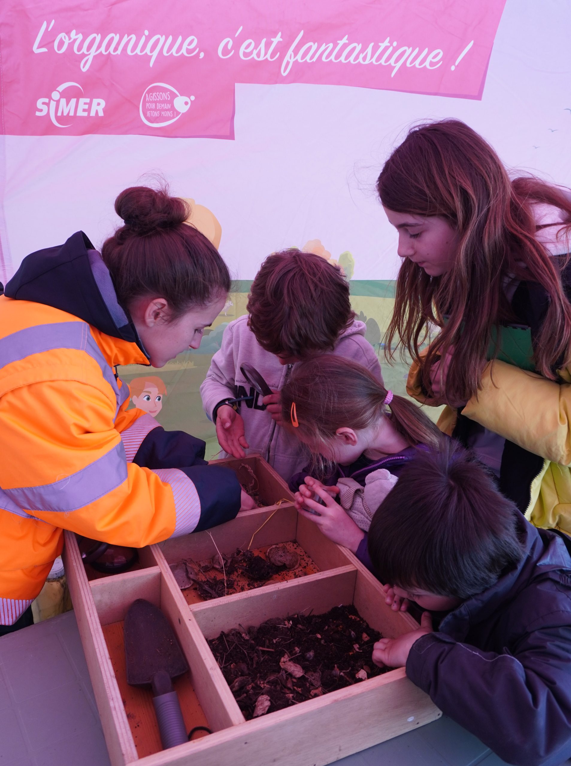 🌿 Animations autour du compostage : observation des bestioles du composteur