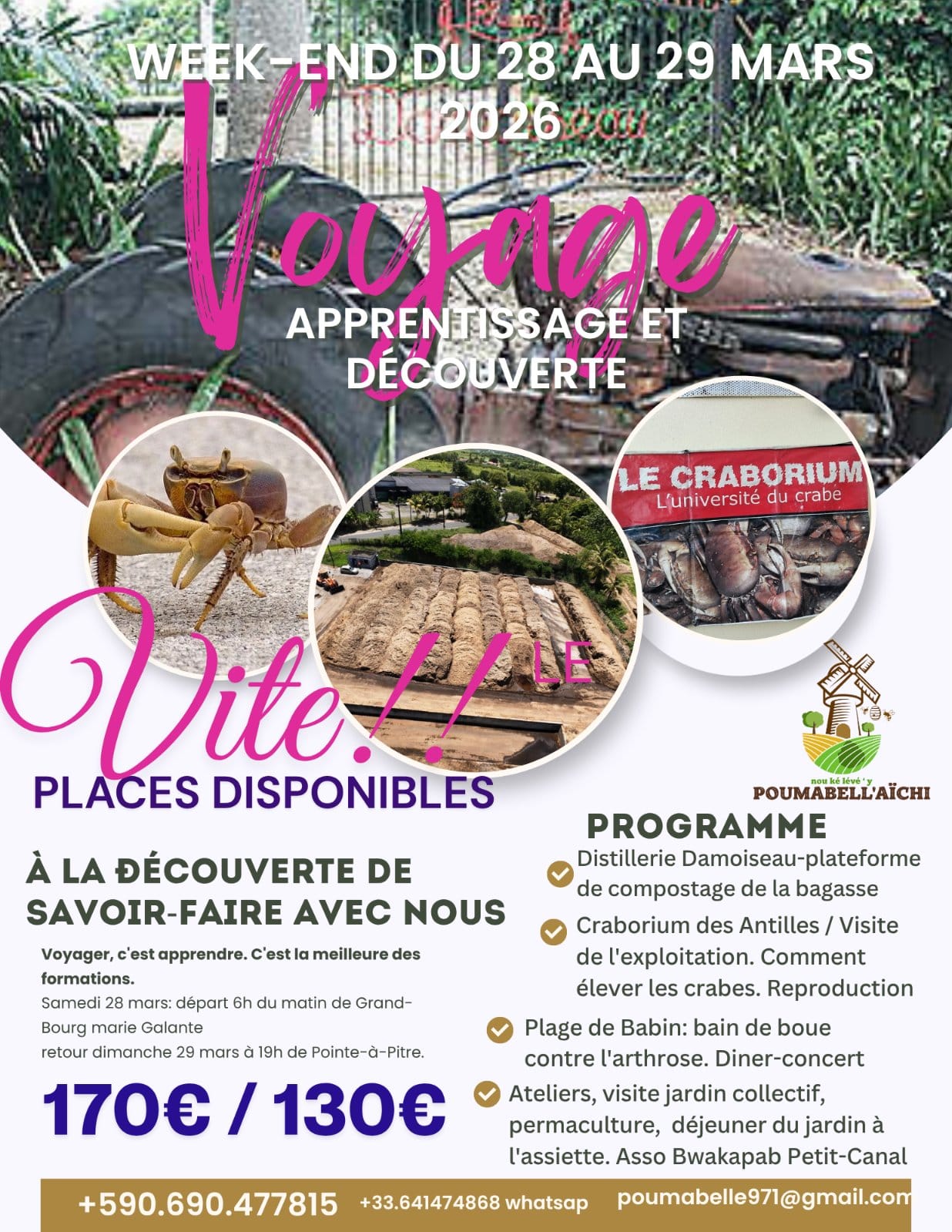 DECOUVERTE PROCESS CO-COMPOSTAGE