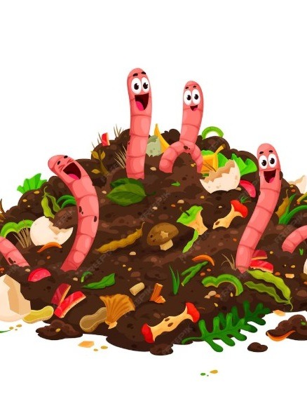 A LA DECOUVERTE DU COMPOST ET SES PETITES BETES !