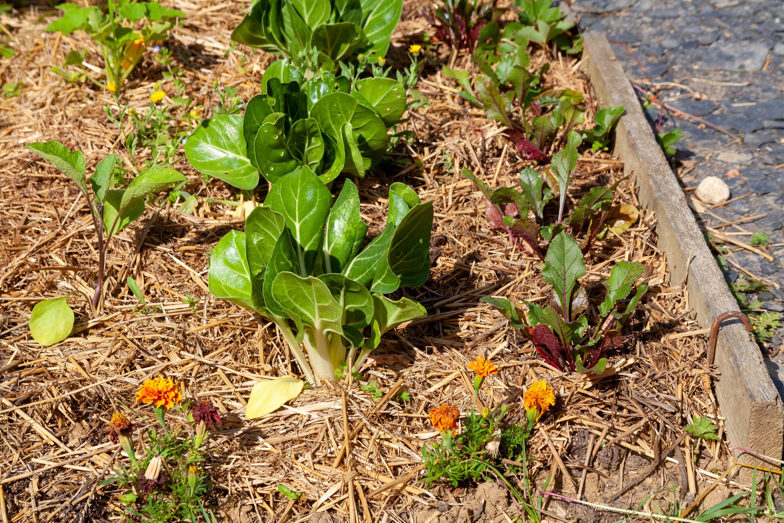 ATELIERS JARDINAGE ET COMPOSTAGE