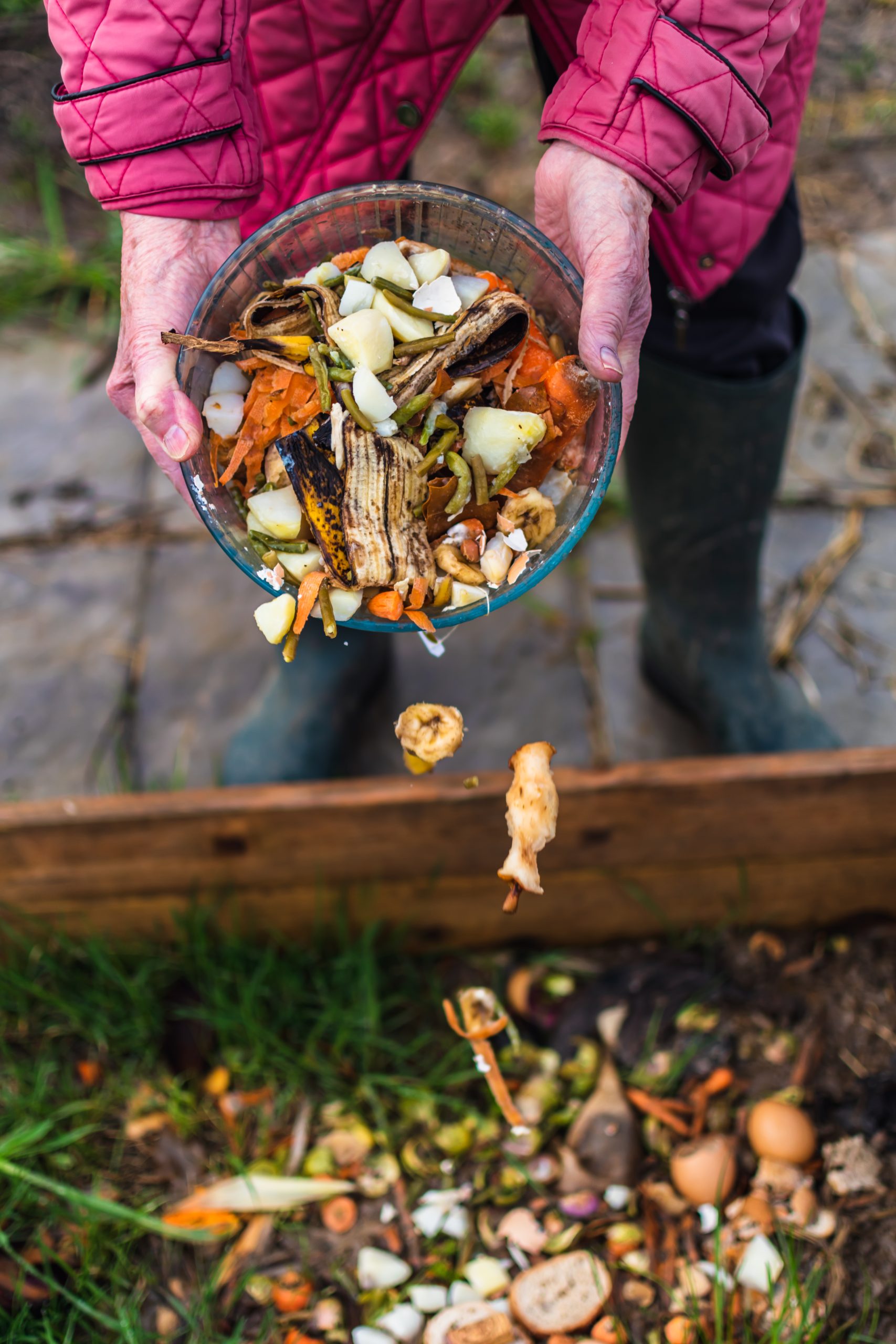 Café Compost au Quai des Salines