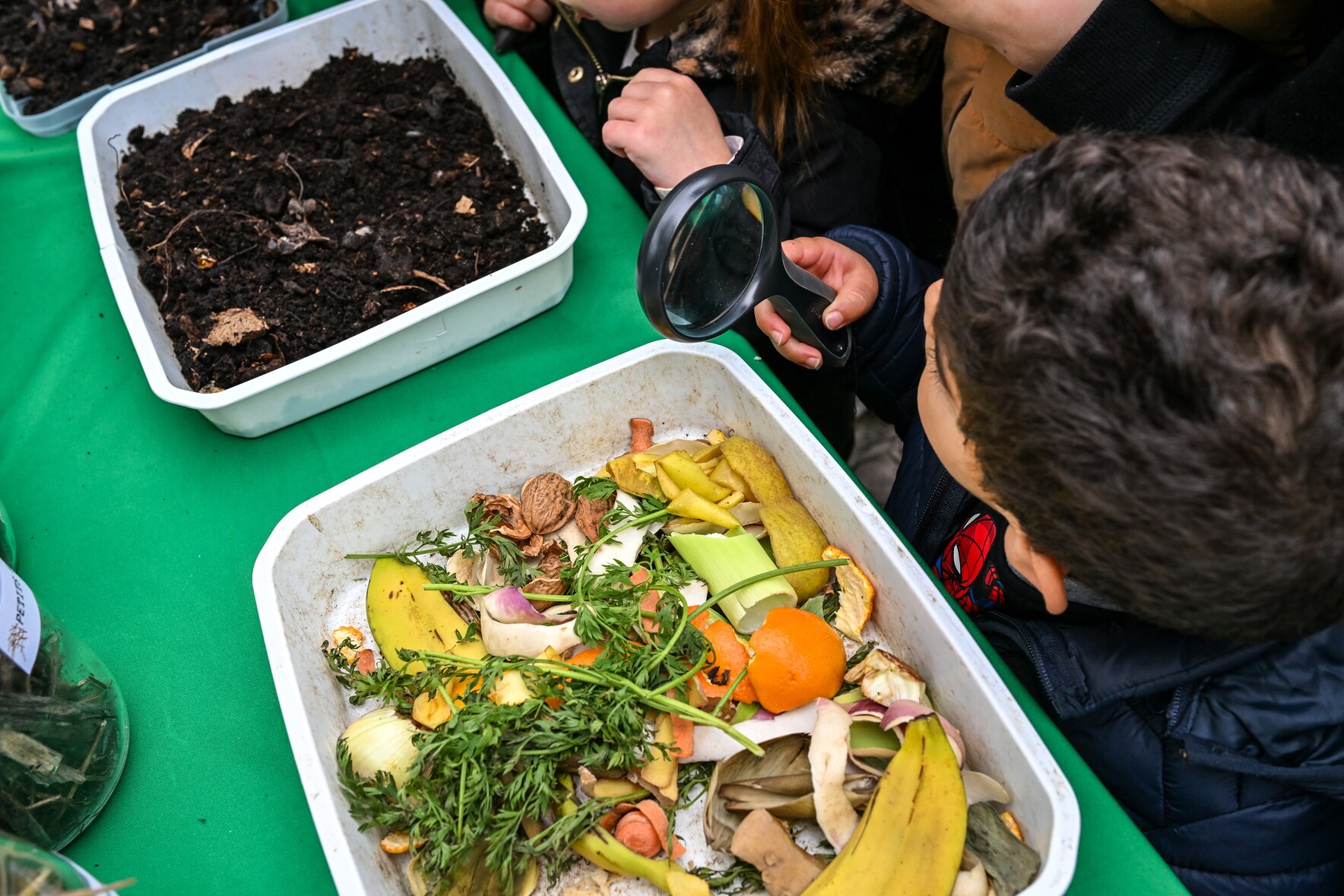 Atelier de découverte de la micro-faune du compost